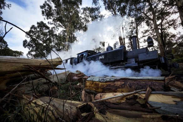 Puffing Billy ran again on Saturday after the state lockdown and heavy storms felled trees across tracks.