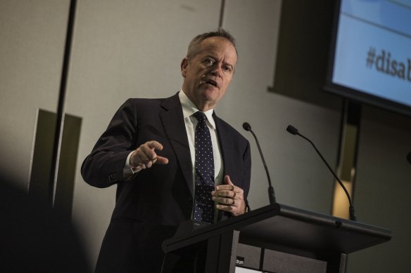 Minister for the National Disability Insurance Scheme and government services, Bill Shorten.