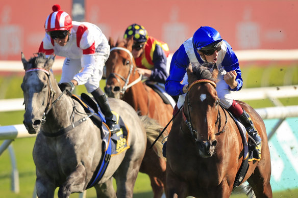 Regan Bayliss punches the air as Libertini races away from Classique Legend in the Premiere Stakes.