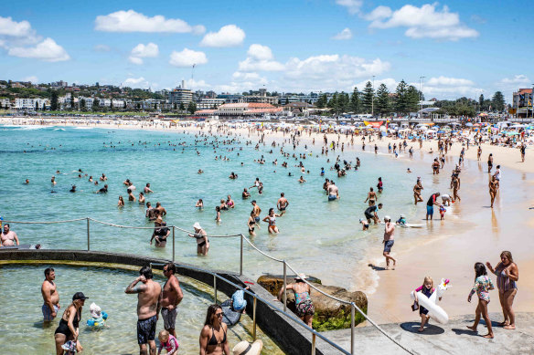 We decided to skip Nimbin and go on to Sydney.