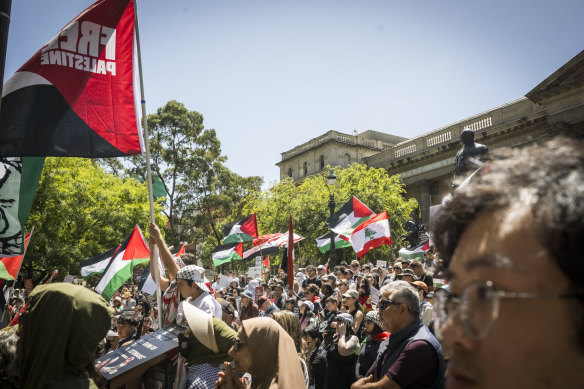 A pro-Palestinian  protest in Melbourne in November.