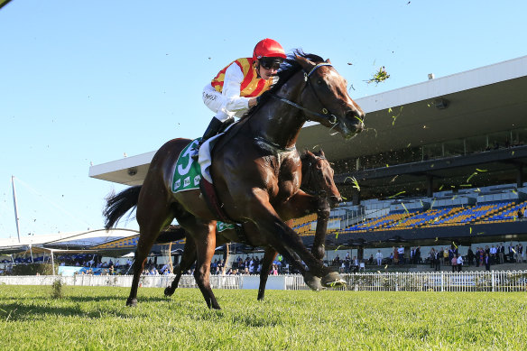 Peltzer is ready to fire in the Golden Rose at Rosehill on Saturday.