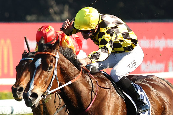 Tyler Schiller celebrates on Remarque in Concorde Stakes.