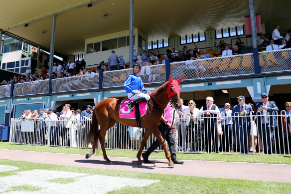 There are eight races scheduled for Newcastle on Tuesday.