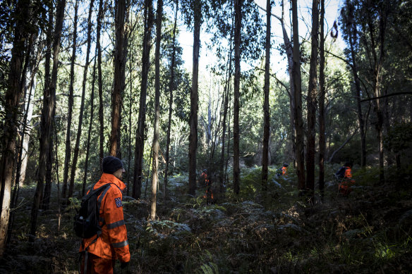 SES searching in dense scrub for William Callaghan on Tuesday morning.