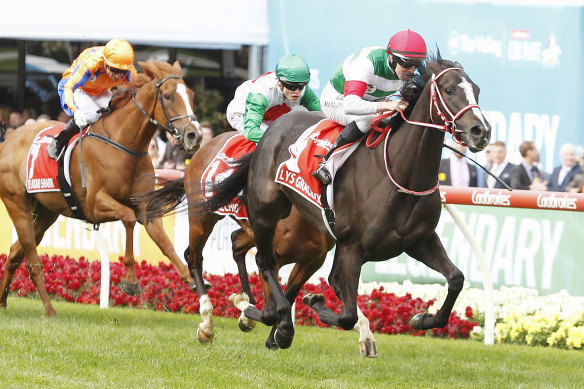 Japanese star Lys Gracieux won last year's Cox Plate.