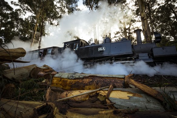 The welcome sound of Puffing Billy returned to the storm-ravaged area this weekend.