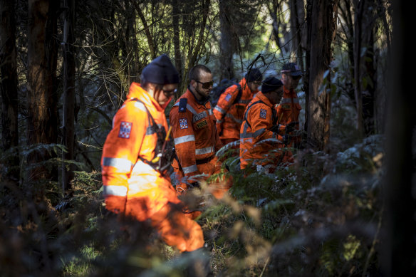 SES volunteers searching thick bushland for William Callaghan.