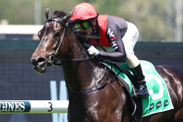 Starlight Stakes winner Eagle Nest.