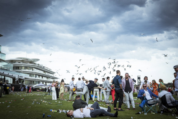 The seagulls begin to land at Flemington as Cup Day comes to an end.