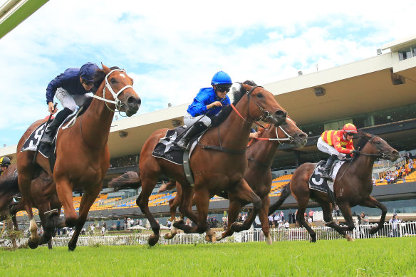 Zethus is top selection for the Starlight Stakes at Rosehill on Saturday.