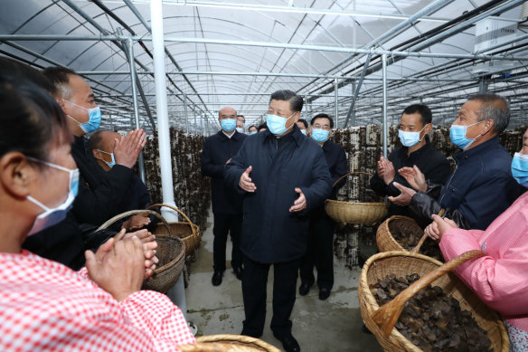  Xi talks with villagers at a black fungus greenhouse in Shangluo City, during an inspection tour of the northwest Shaanxi Province in April 2020.  