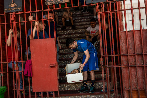 Inmates bring cats to the volunteers to make sure they receive medical care.