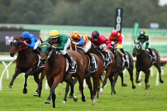 Sheza Alibi races away from Autumn Boy in the Randwick Guineas on March 7.