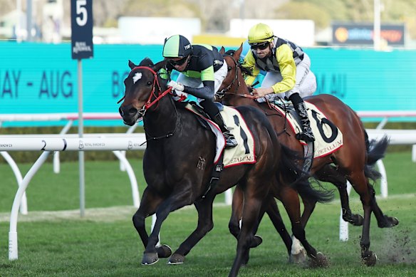 Andrew Adkins takes King’s Secret to victory at Randwick in July last year.
