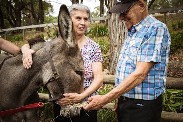 Angela and Lawrence Spiteri hung out with donkeys at Macclesfield as a gift from their daughter.