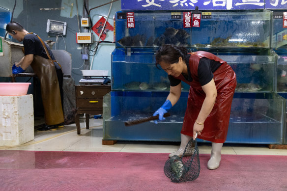 Beijing fish stall owner Bian says few customers want wild-caught fish. 