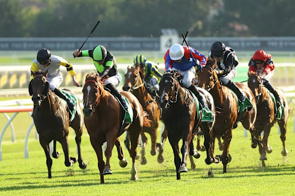 Accredited (green and black silks) won three of his five starts last campaign, and the Takeover Target Stakes looks a real opportunity for the Joe Pride-trained sprinter.
