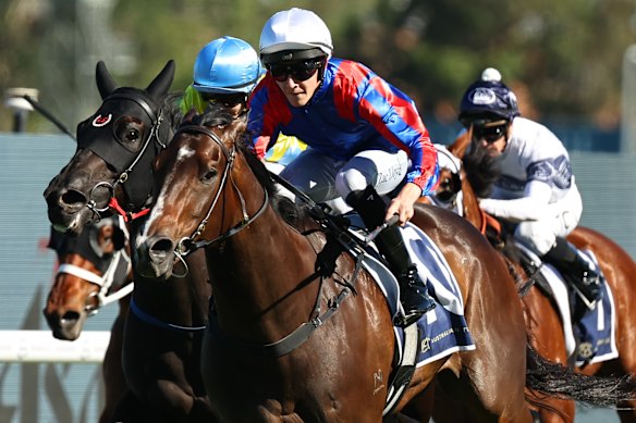 Yorkshire powers to victory in the Festival Stakes under Zac Lloyd.