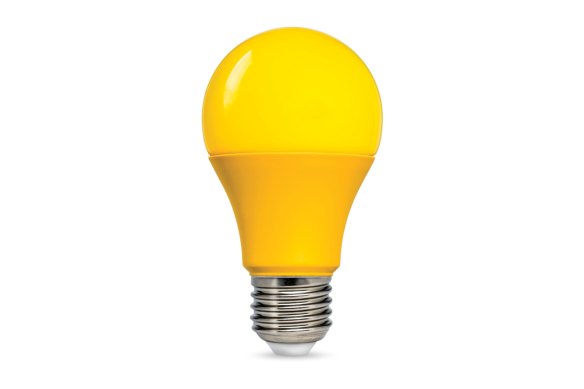 Anti-insect A55 bulb from Bunnings Warehouse.
