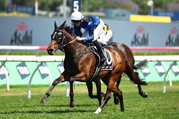 Zac Lloyd rides Idle Flyer to victory in the Angst Stakes at Randwick last October.