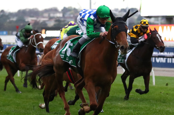 Jockey Ben Melham rides Moonlight Maid to win race 9 the Edward Manifold Stakes at Flemington.