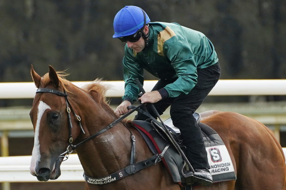 Big-money two-year-old Mount Fuji will add some spark to the Randwick card during a quiet time of the year.