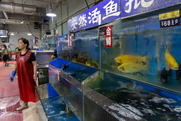 Fish stalls in China are struggling as customers turn away.