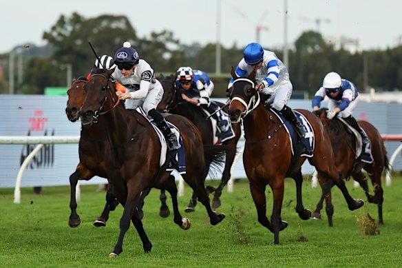 Thebudgiesmugla wins the listed Queen Elizabeth II Cup at Rosehill on Saturday.