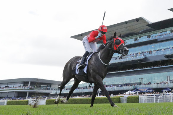 Sam Clipperton sits up on Mazu at the end of the Arrowfield Sprint.