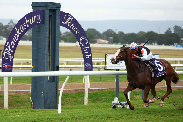 Racing returns to Hawkesbury on Tuesday.