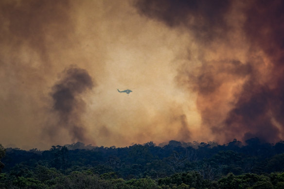 Firefighters worked for three weeks to contain the Grampians fire. 