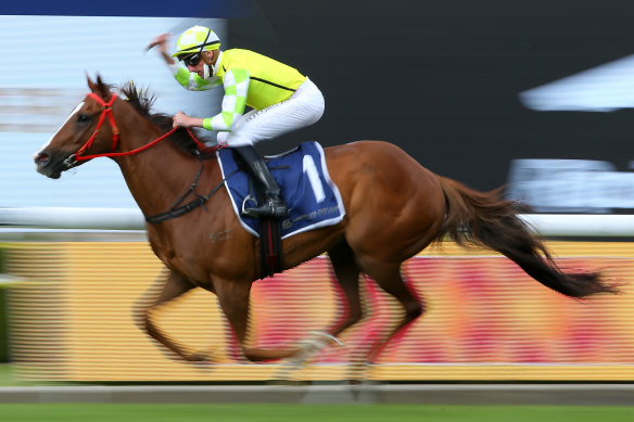 Nash Rawiller guides Eduardo home in the Classique Legend Stakes.