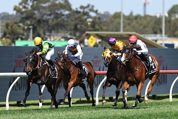 So You Are, left, wins the Colin Stephen Quality.