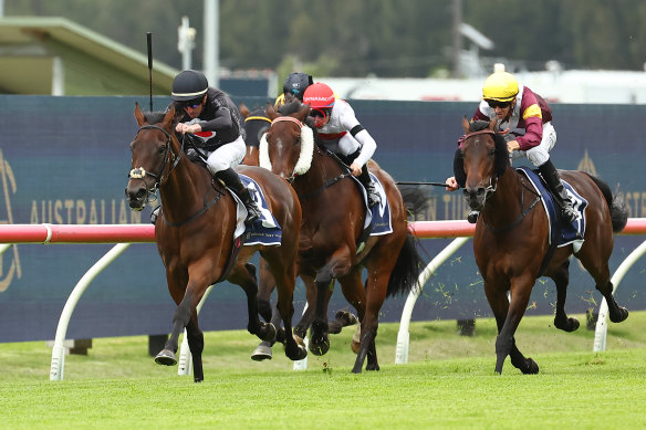 Horses in action at Rosehill Racecourse.