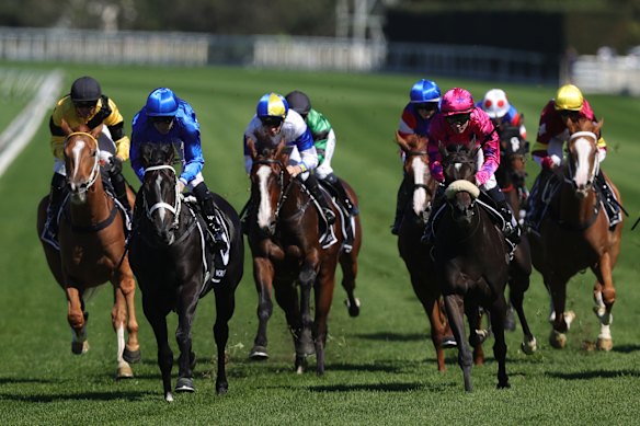 Salann, right, finishes second to Diameter, left, last week.