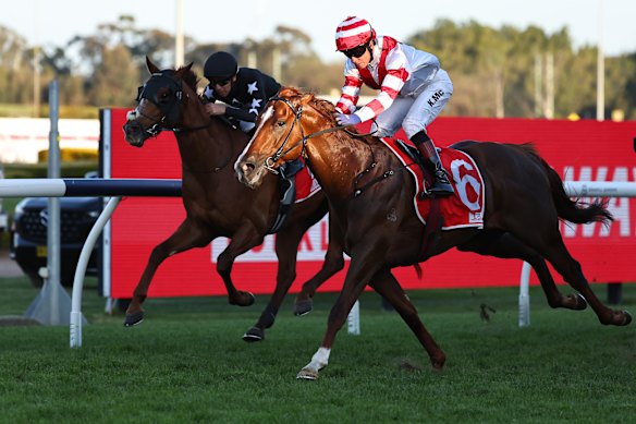 Magnatear, left, finishes second to Skyhook in the Theo Marks Stakes. 