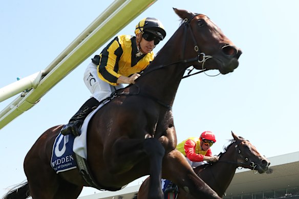 Chilly Girl winning the Widden Stakes.