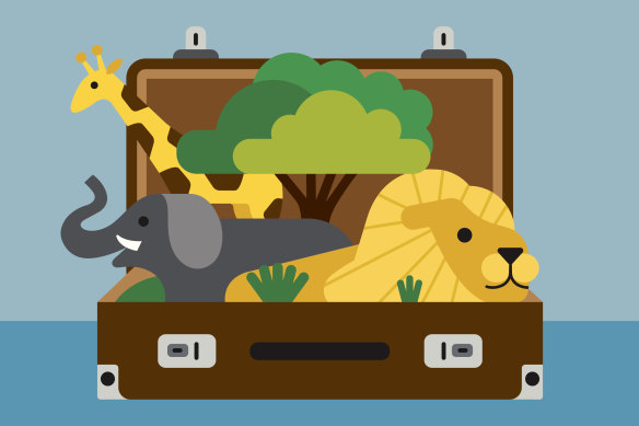 Try not to overpack if travelling for a safari.