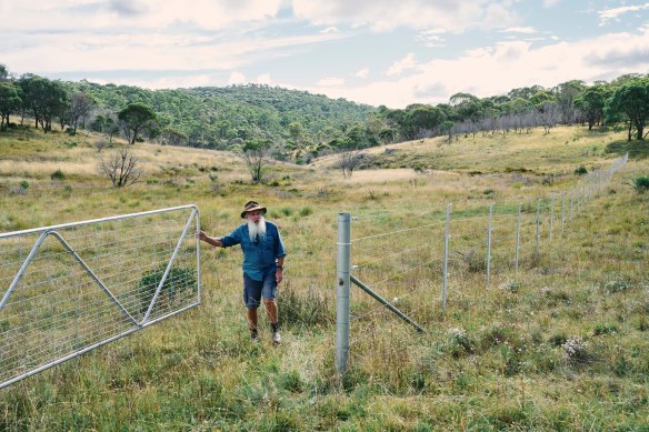 Lintermans at the fence built two years ago to protect stream edges from trampling by wild horses.