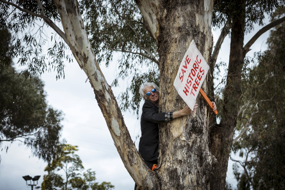 Dan Wollmering, a local resident, protests the proposed removal of the trees and razing of Gandolfo Park for the level crossing works on the Upfield line, Coburg.