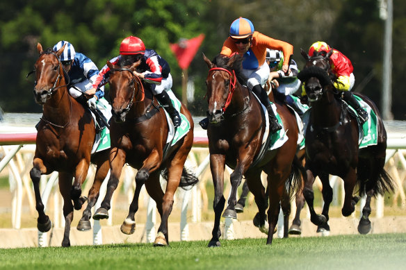 Racing returns to Wagga Wagga on Sunday.