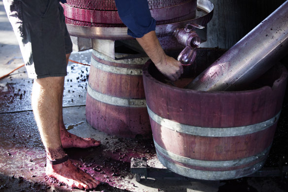 Shiraz and shiraz blends are a specialty of Gibson, in South Australia's Barossa Valley.