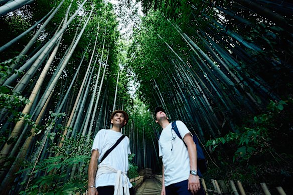 City tour Samurai e caça aos cogumelos.