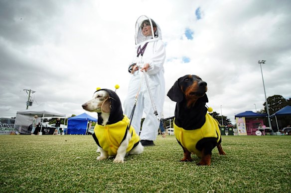 Sienna Costa,10, with her dogs
Lola and Pablo.