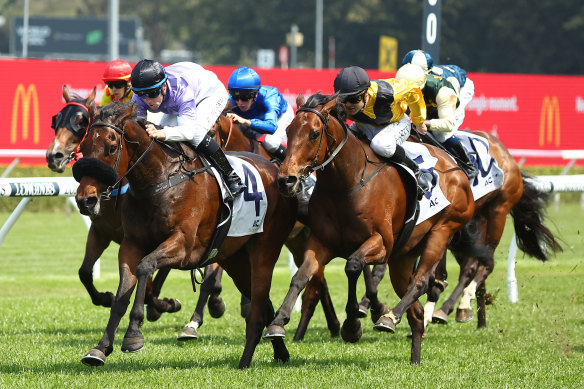 The two entities are expected to be integrated into the BlueBet platform ahead of the spring racing carnival this year.