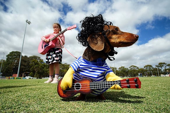 Isabel Bruce, 7, with her dog Harry.