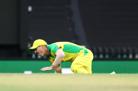 David Warner says it may be up to nine months before he has fully recovered from a groin tear.