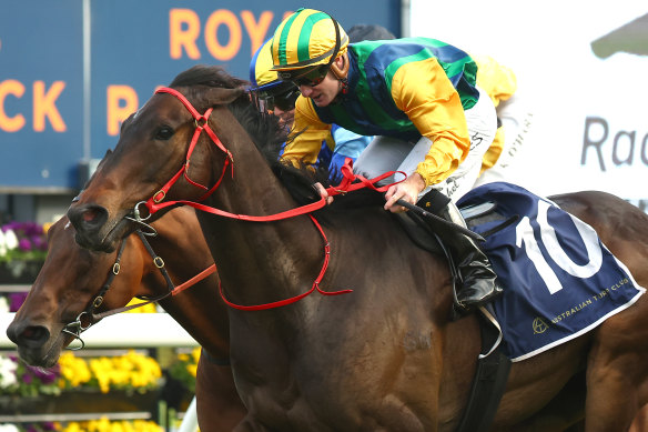 King Of The Castle wins the Big Dance Wild Card at Randwick last month.