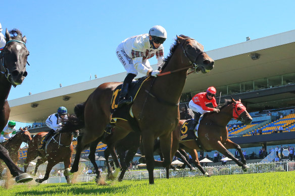 Count de Rupee will be looking to state a case for the Golden Eagle at Rosehill on Saturday.